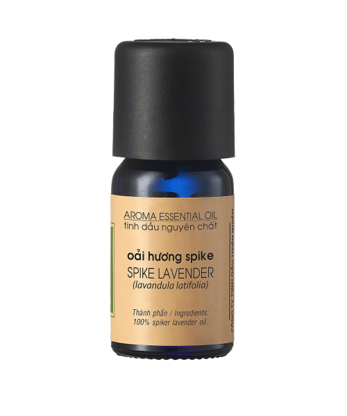 Tinh Dầu Hoa Oải Hương Spike